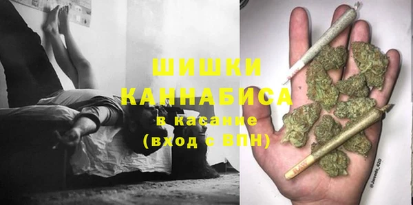 первитин Гусев