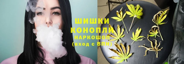 PSILOCYBIN Гусь-Хрустальный
