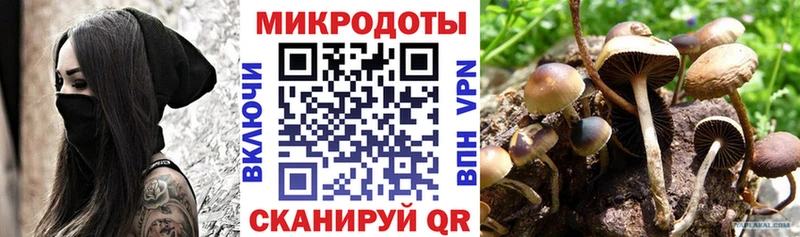 Галлюциногенные грибы Cubensis  Купить  Онега 