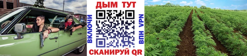 Бошки Шишки индика  Купить  Онега 